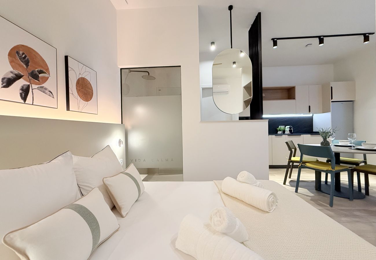 Apartment in Valencia / València - VidaCalma Apto 4