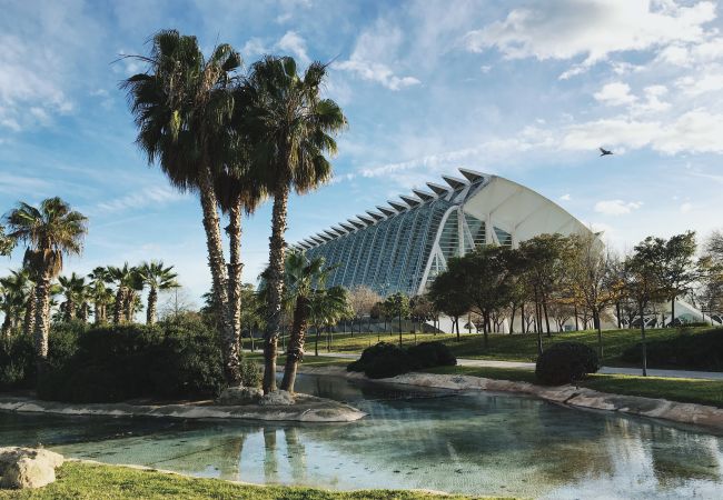 Estudio en Valencia - Mediterraneum. Suite D by Host Valencia Estudio en Valencia - Mediterraneum. Suite D by Host Valencia